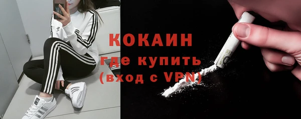 гашиш Богданович
